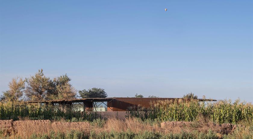 Fauna Hotel Atacama-04