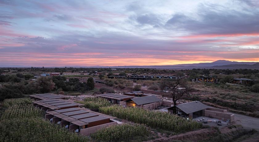 Fauna Hotel Atacama-12