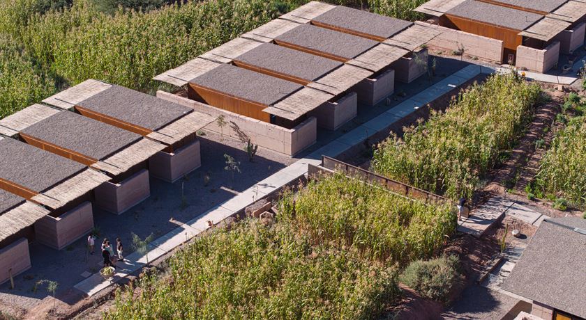 Fauna Hotel Atacama-03